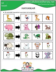 Hayvanların Yavrusunu Bul